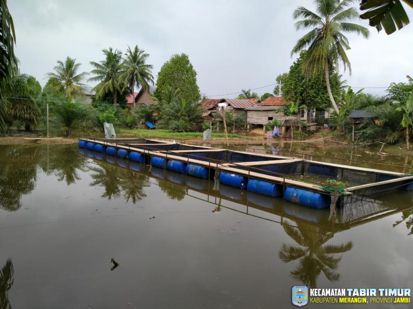 Keramba Ikan Bantuan Kabupaten Merangin untuk Desa Sungai Limau